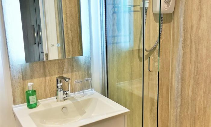 Room 1 - Shower Ensuite